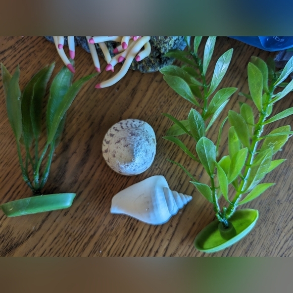 Aquarium decor lot, artificial Coral, gravel, artificial plants & shells - Picture 4 of 9